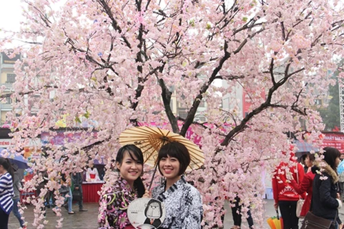 Ngắm hoa anh đào khoe sắc ở Thủ đô