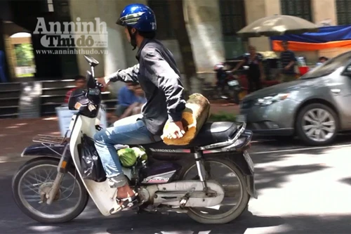 Cây sưa vừa hạ, dân lao vào…"xin"