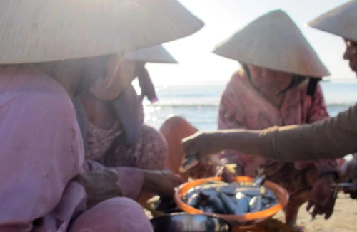 Độc đáo chợ cá họp ven biển lúc bình minh