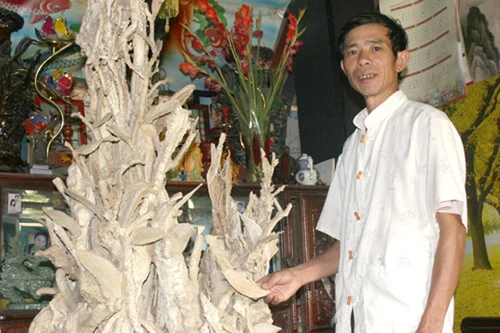 Người đàn ông "săn" được thạch mộc 30 tỷ đồng