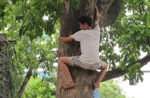 Rợn người xem “Xuân tóc đỏ” thời nay trèo sấu