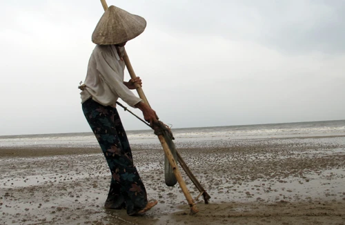 Lầm lũi phận nữ phu cào ngao