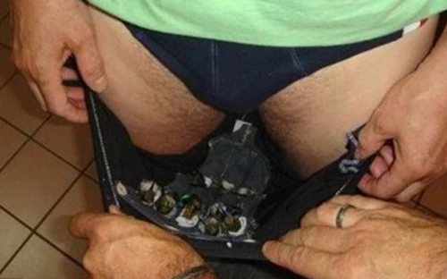 Phát hiện hàng chục chim quý trong... quần 