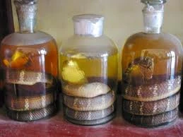 Liệt dương vì bồi bổ bằng rượu rắn 