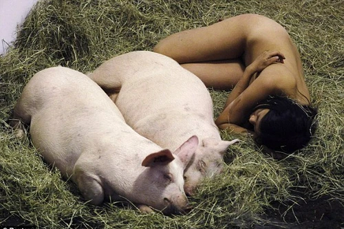 Nữ nghệ sĩ sống trần truồng với lợn trong 104 giờ