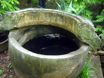 Chiếc thống “độc” cứu gia đình "quý tộc" một thời