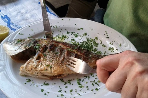 Ai không nên ăn cá hàng ngày?