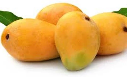 Xoài ngăn ngừa béo phì và tiểu đường