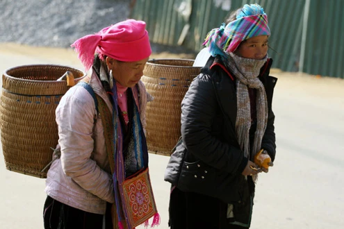 Nhiệt độ Sa Pa xuống 10 độ C