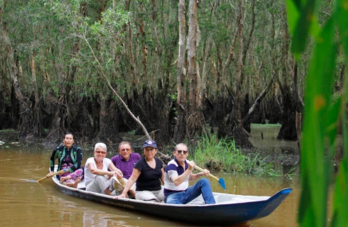 Mênh mông rừng tràm Trà Sư 