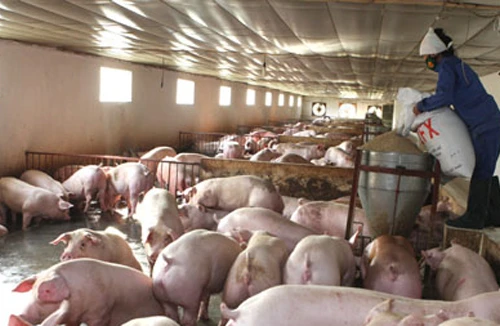 “Lơ lửng” an toàn thực phẩm