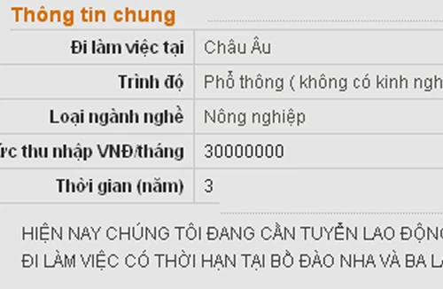 Lừa đảo đi xuất khẩu lao động trên mạng điện tử