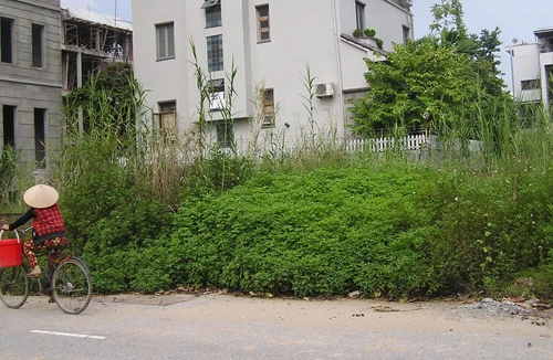 Biệt thự triệu đô bị “bỏ quên”