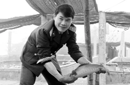 Đẹp như hoa cúc quỳ