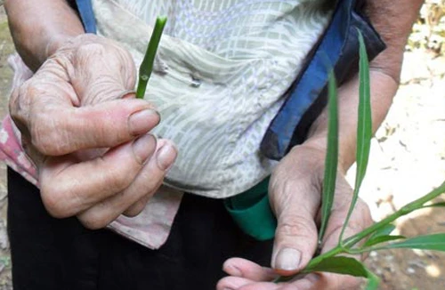 Ghê rợn các kiểu phá thai… thủ công