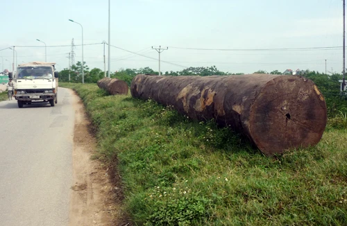 Nguy hiểm rình rập