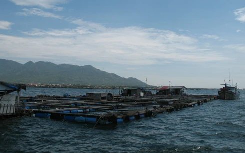 Có chủ cũng như không