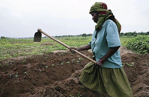 Cuộc chiến bình đẳng giới 