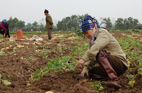 Tiếp tục giao đất 20 năm