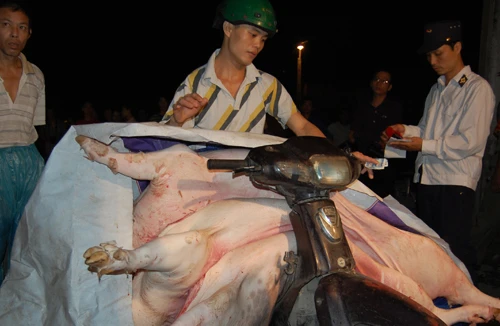 Quy hoạch giết mổ gia súc, gia cầm: Điệp khúc... kêu khó