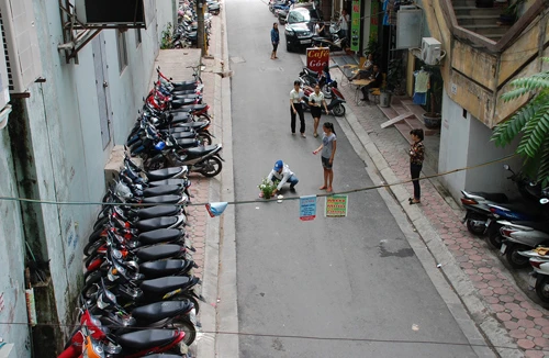 Một nữ sinh viên quyên sinh 