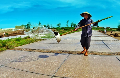 Ngày mới trên biển Thịnh Long