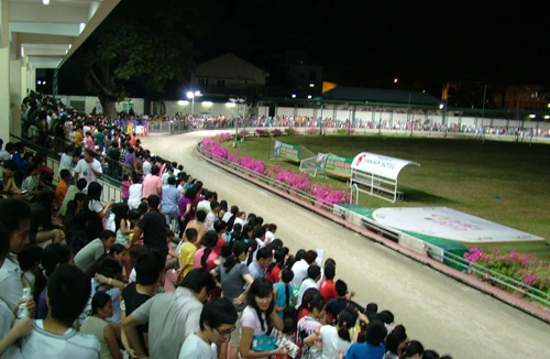 Đặt cược vào những... chân dài 