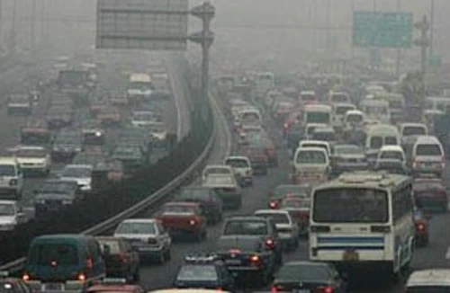 “Vô sinh” vì vô cảm