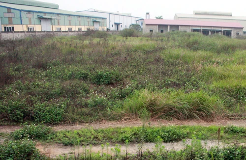 Khó chống lãng phí đất công