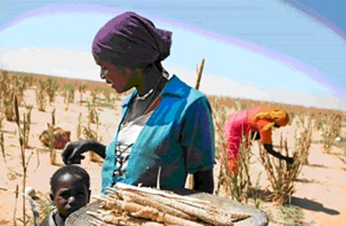 Phòng ngừa rủi ro