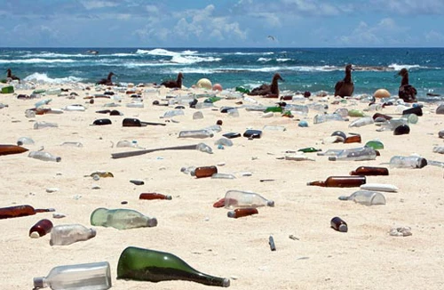 Đại dương kêu cứu