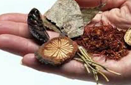 Bệnh khớp ở người cao tuổi