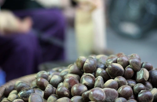 Hạt dẻ chợ Thông Huề