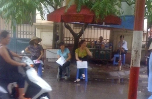 Bác sĩ “nối giáo” cho... cò 