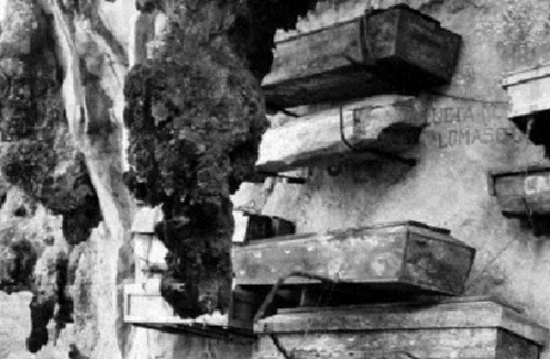 Kỳ bí huyền táng