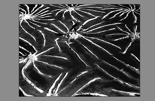 NSNA Trần Vĩnh Nghĩa: Đi tìm những khoảnh khắc tâm linh