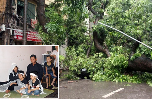 Rủi ro hay tắc trách? 