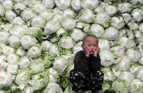 Hiểm họa từ thực phẩm