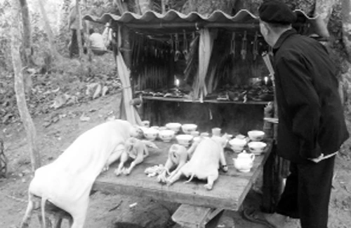 Lời nguyền của “rừng Chết” 