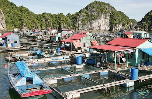 Đảo Nam Cát - vẻ đẹp hoang sơ, yên bình 