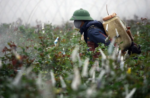 Ô nhiễm từ nhà ra đồng 