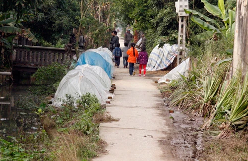 Nát lòng cha mẹ kẻ giết cướp man rợ ở hiệu vàng Vững Bắc