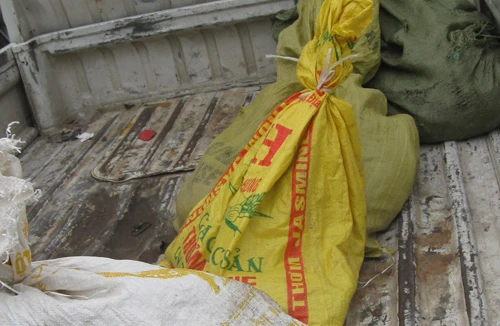 “Thả rông” hổ mang chúa trên xe khách 