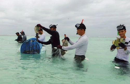 “Xuân trên đảo Trường Sa”