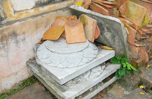 Hiển hiện một thảm họa bảo tồn