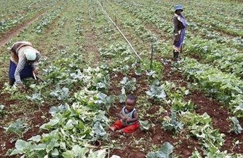 Trả đất cho nước nghèo 