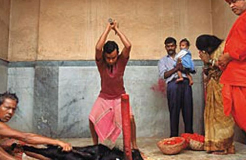 Những cuộc sinh tế bằng mạng người 