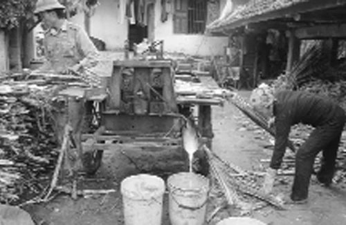 Mật ngọt cũng lắm công phu...