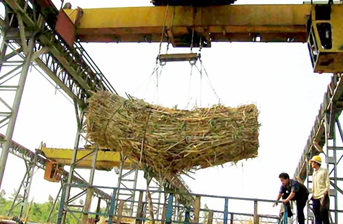 Sẽ nhập khẩu 80.000 tấn đường của Hoàng Anh Gia Lai ở Lào?