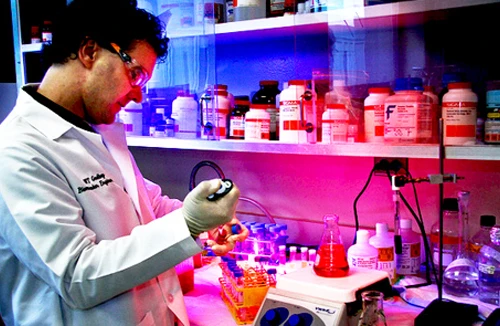 Lạm dụng “sát thủ giấu mặt” 